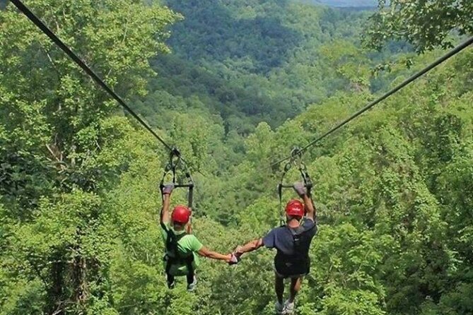 Day Trip to Kereita Forest and Ziplining - Who will enjoy this day most?