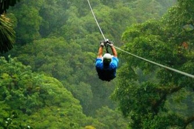 Day Trip to Kereita Forest and Ziplining - A strange spring at the Carbacid Forest Gate