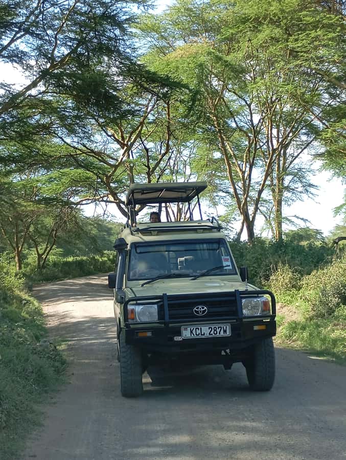 Day Trip to Lake Nakuru National Park from Nairobi - Rhinos, giraffes, and the main wildlife search
