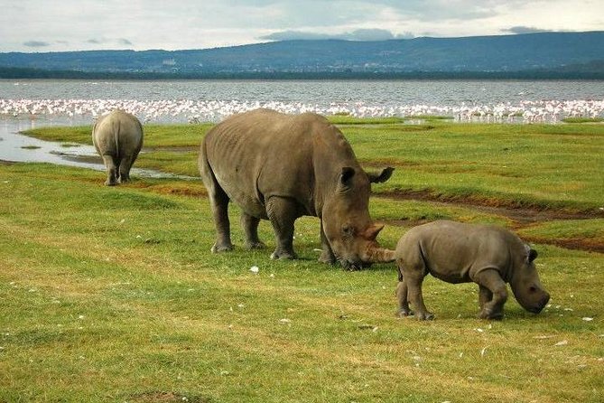 Day trip to lake Nakuru national park - The Great Rift Valley road and escarpment photo stop