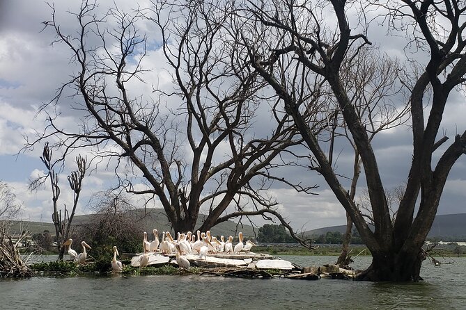 Day Trip to Mt. Longonot with Boat Ride in Lake Naivasha - Lunch and the shift to Lake Naivasha