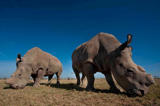 Day trip to Ol Pejeta conservancy from Nairobi - A quick equator crossing near the start