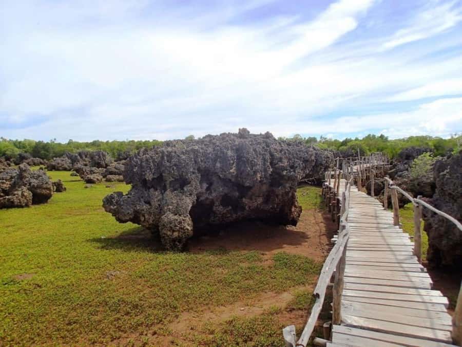 Day trip to Wasini islands from Diani - Should you book the Wasini Islands day trip?