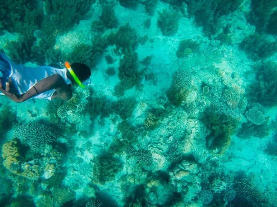 Day trip to Wasini islands from Diani - FAQ