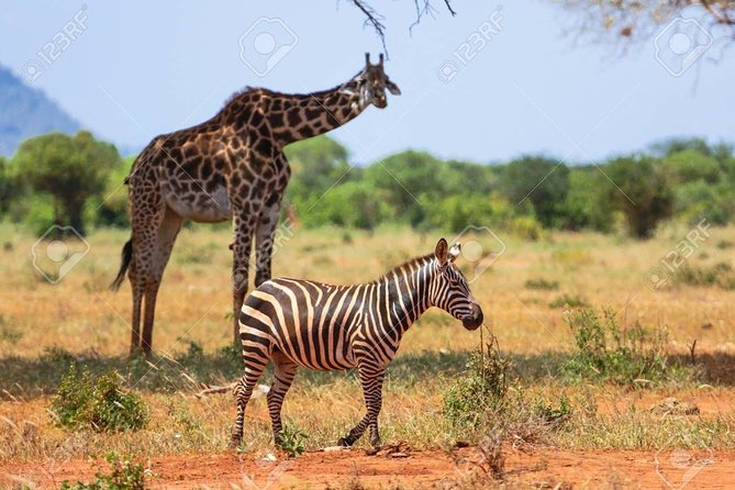 Day Trip - Tsavo East National Park ( Man Eater Lions of Tsavo & Other Big Five) - What This Trip Suits Best