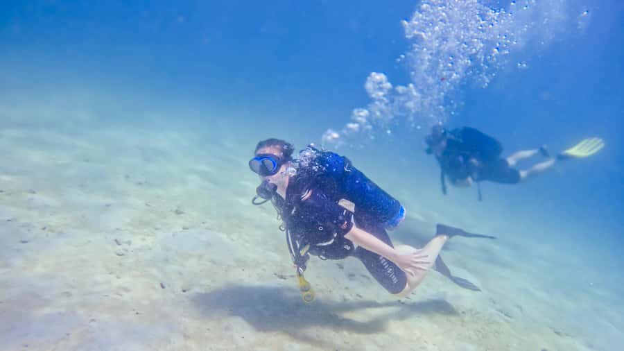 Dhow Adventure to Wasini Island & Kisite Marine Park - A village walk, coral garden, and community questions