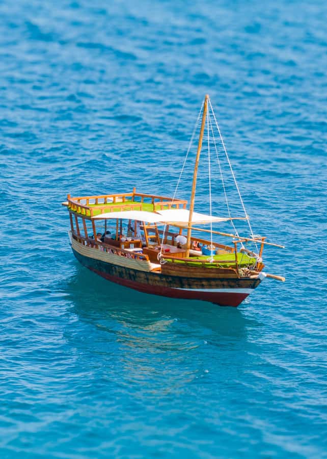 Dhow Adventure to Wasini Island & Kisite Marine Park - The return sail and what the full day really means