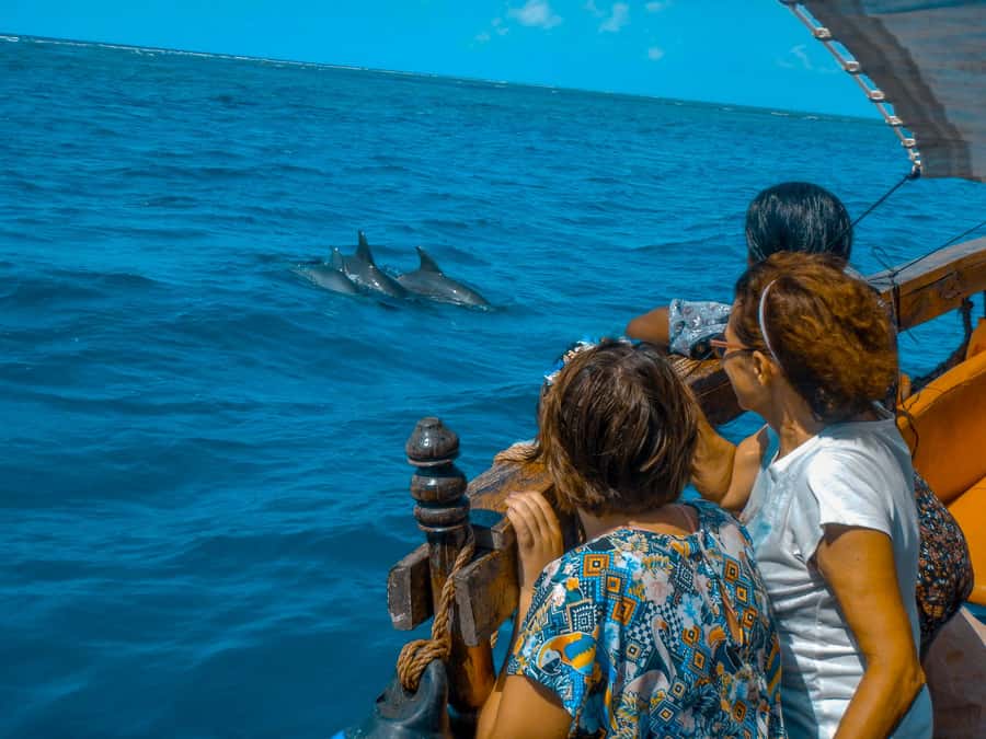 Dhow Adventure to Wasini Island & Kisite Marine Park - Is $128 a fair price?