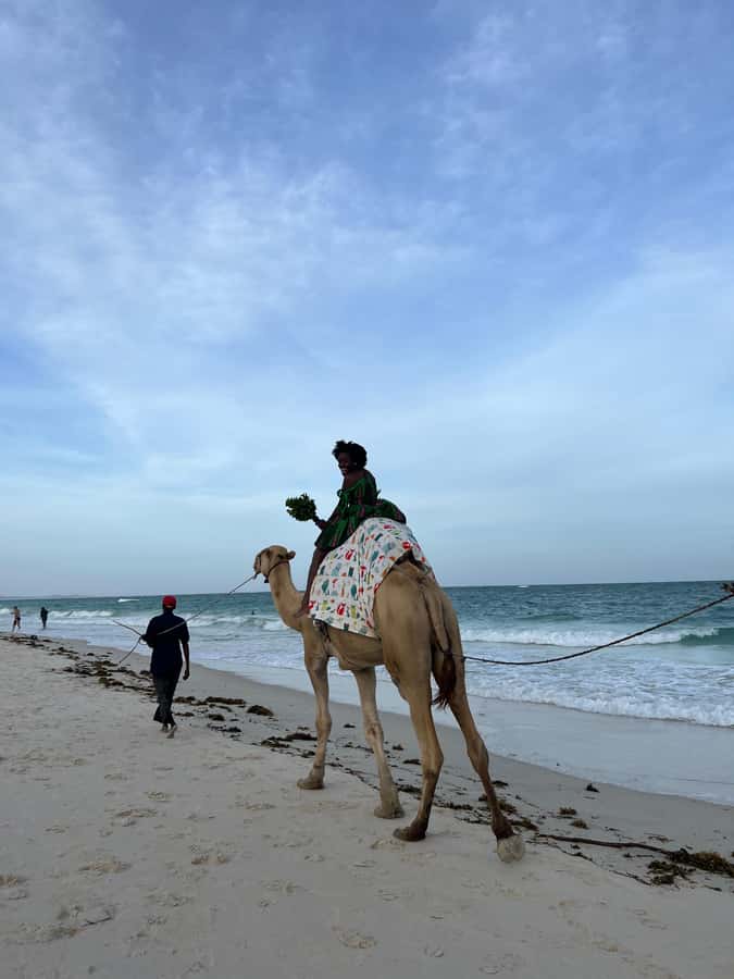 DIANI: BEACH CAMEL RIDE - A quiet way to see Diani Beach
