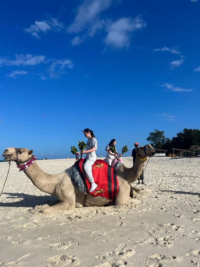 DIANI: BEACH CAMEL RIDE - Mounting a camel without the fuss