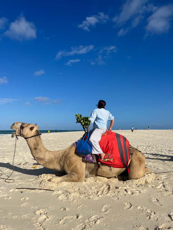 DIANI: BEACH CAMEL RIDE - Meeting at Kongo Mosque