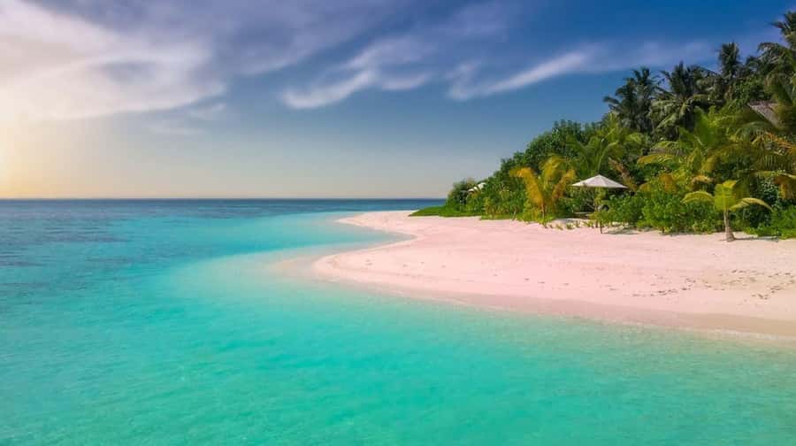 Diani Beach: Funzi Island Day Trip with Lunch - Why Funzi Island feels different from a standard beach outing