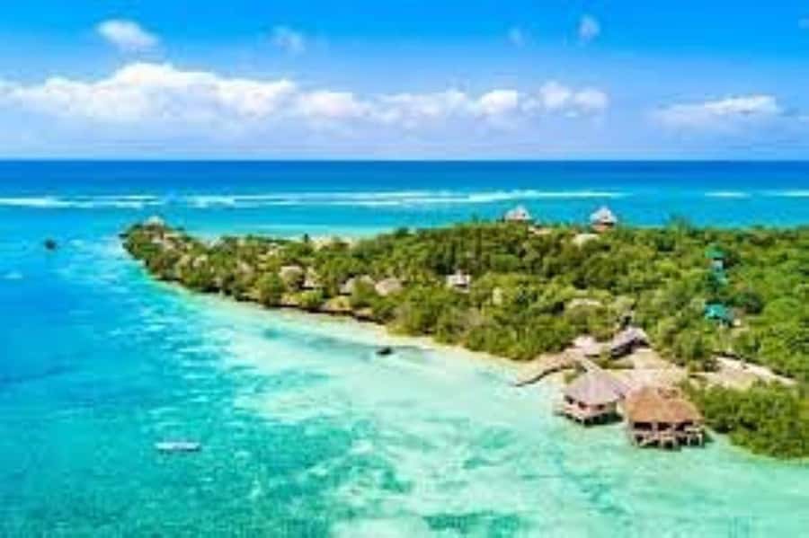 Diani Beach: Funzi Island Day Trip with Lunch - Cruising the Ramisi River by motorized canoe