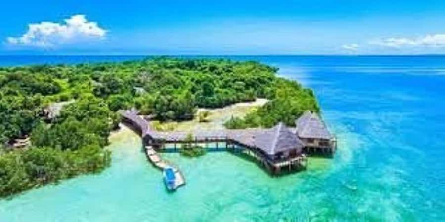 Diani Beach: Funzi Island Day Trip with Lunch - Seafood lunch, with the bill separate