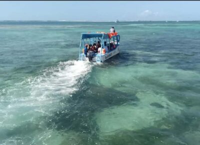 Glass Boat Cruise to Robinson Island