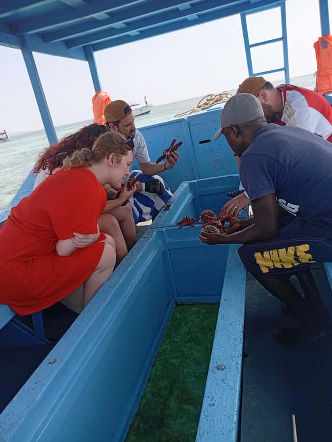 Diani Beach: Glass-Bottom Boat Cruise to Robinson Island - What this Diani boat trip is really like