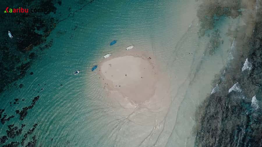 Diani Beach: Glass-Bottom Boat Cruise to Robinson Island - Robinson Island sandbank and time to relax