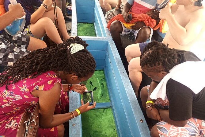 Diani Beach: Glass-bottom Boat Ride with Underwater Show - Key points to know before booking