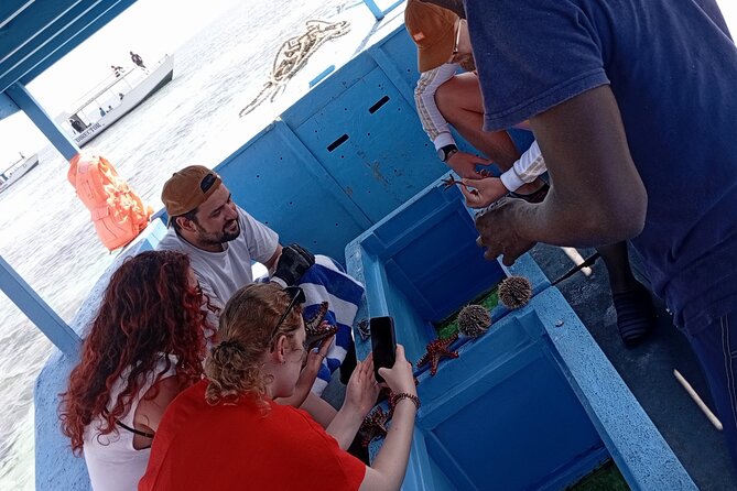 Diani Beach: Glass-bottom Boat Ride with Underwater Show - Starting at Diani Beach by tuk-tuk