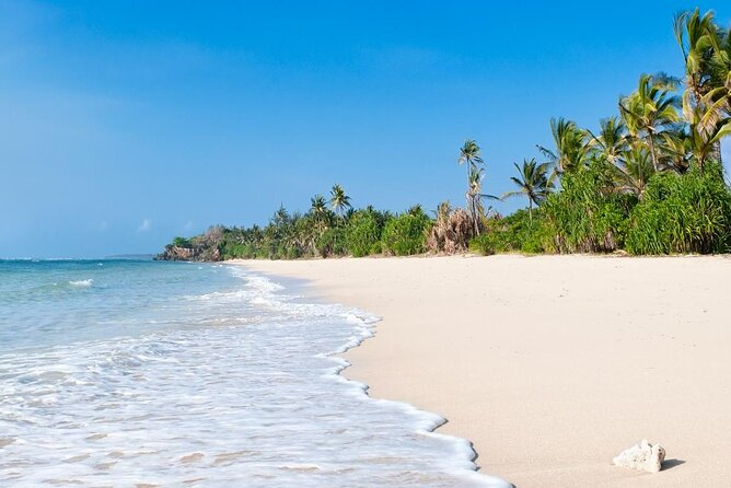 Diani Beach: Glass-bottom Boat Ride with Underwater Show - Who will enjoy this Diani boat trip