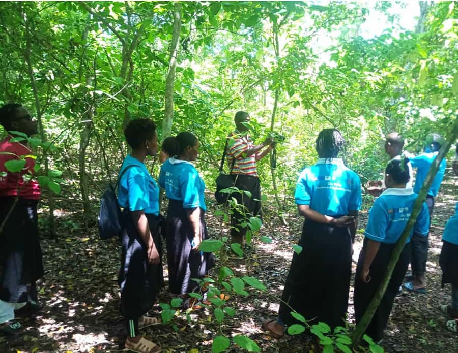 Diani Beach: Kaya Kinondo cultural and nature experience - Walking the 50-minute sacred forest trail