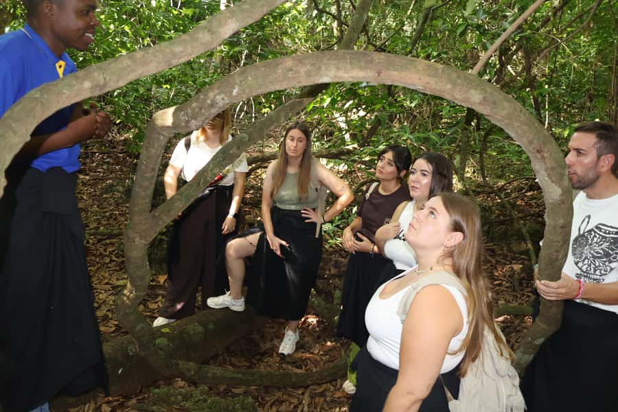 Diani Beach: Kaya Kinondo cultural and nature experience - Meeting the village healer and learning local traditions