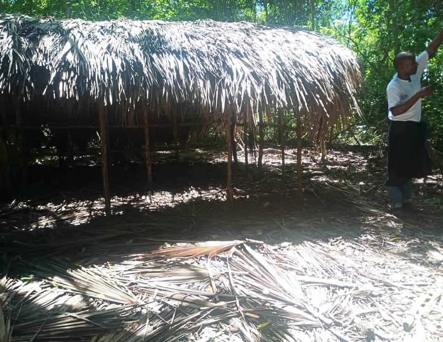Diani Beach: Kaya Kinondo cultural and nature experience - Digo dance, lemongrass tea, and optional palm wine