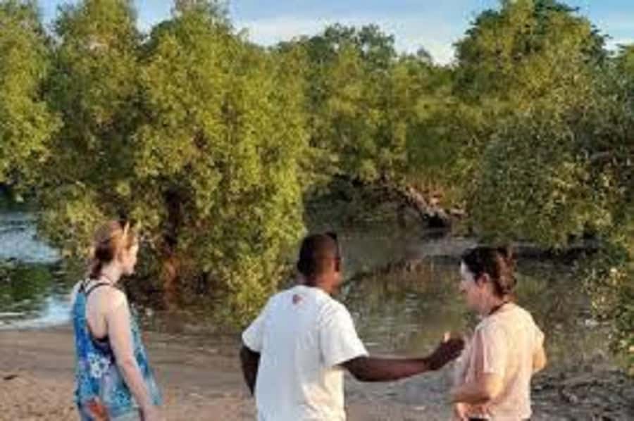 Diani Beach: Kongo River Estuary Sundowner Boat Tour - Five things to know before you go