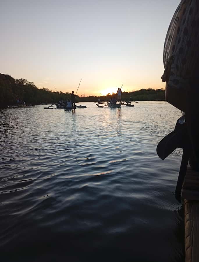 Diani Beach: Kongo River Sunset Experience in a canoe - Watching birds among the mangroves