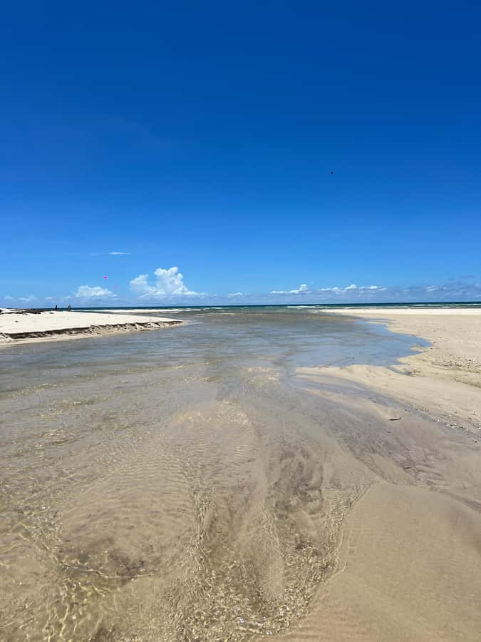 Diani Beach: Private African Pool Map Guided Tour - Walking the Shoreline to the African Pool