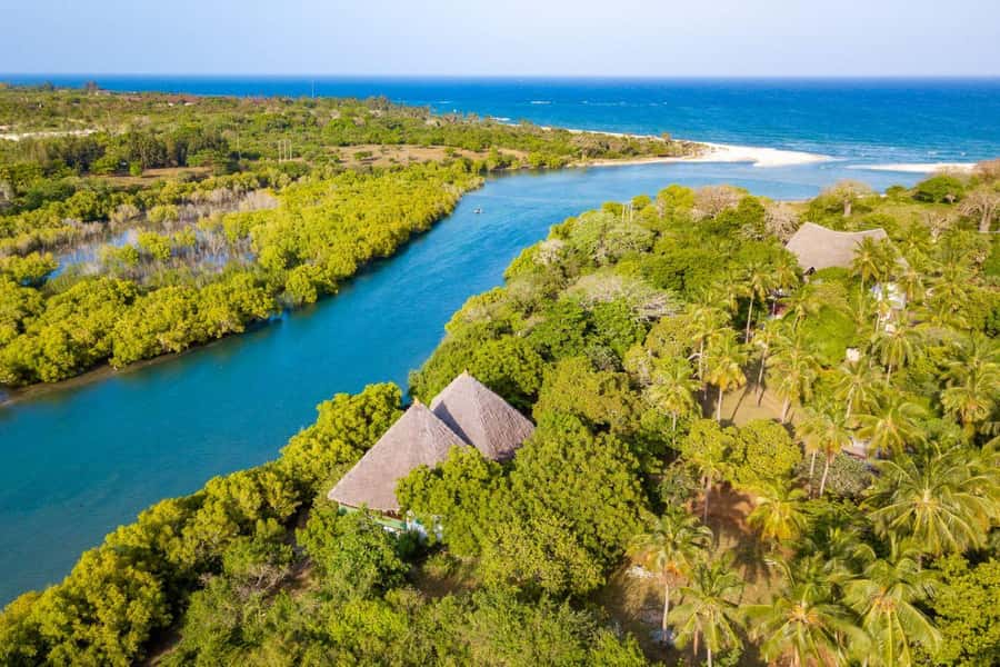 Diani Beach: Sunset Dhow Cruise with Dinner - Key points to know before you book