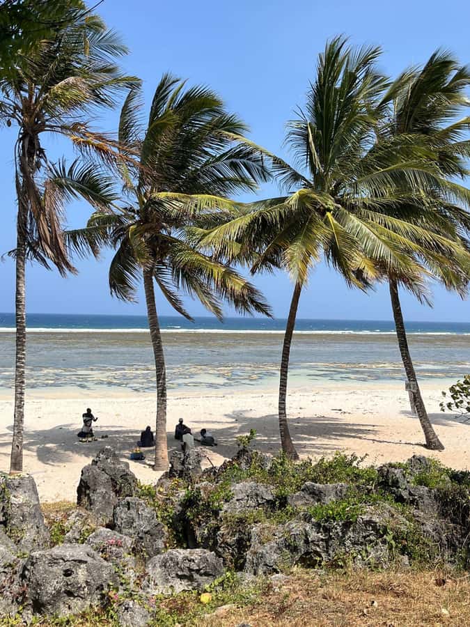 Diani: Full day Guided tour in Tiwi beach & Diani - Snorkeling in the Coral Caves