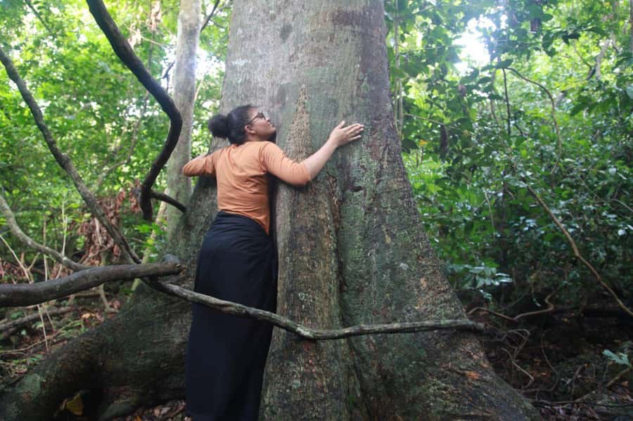 Diani: Kaya Coastal Culture Walk - Why the Kaya forest matters