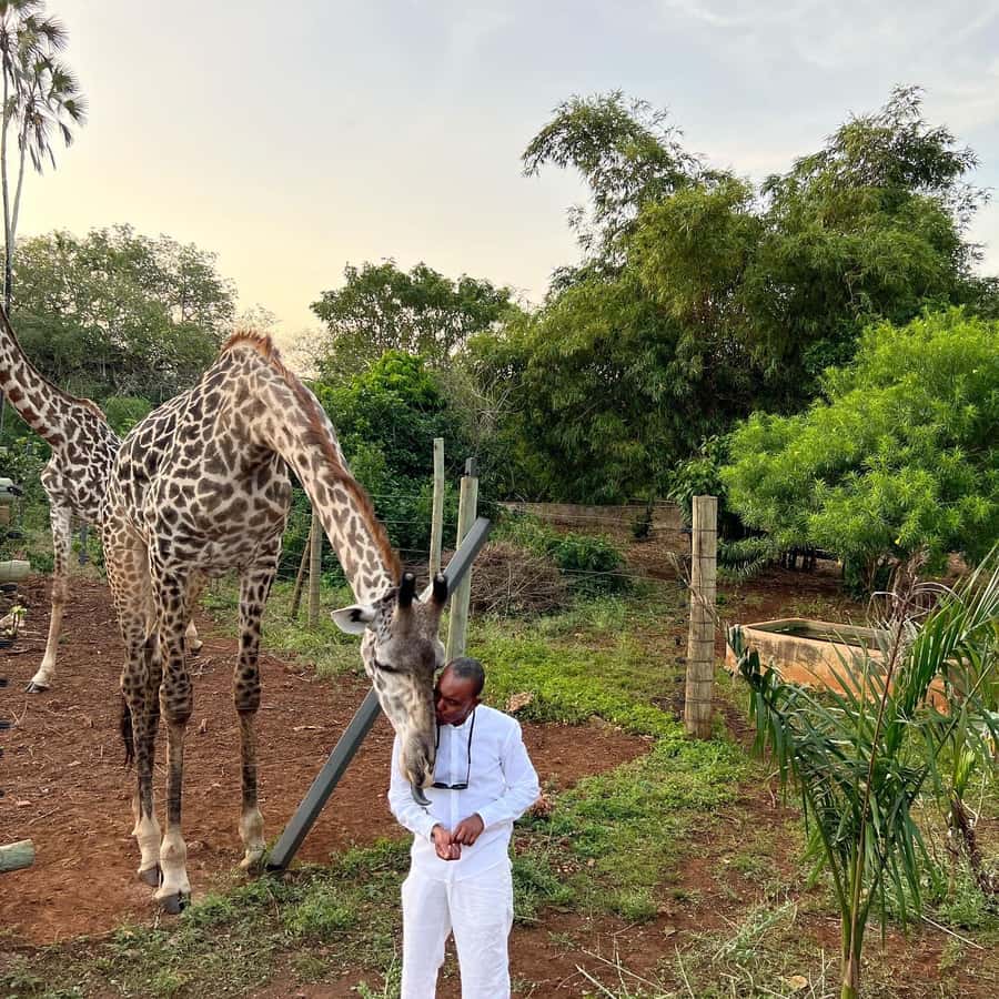 DIANI: SHARE A MEAL WITH GIRAFFES - What makes this Diani experience special