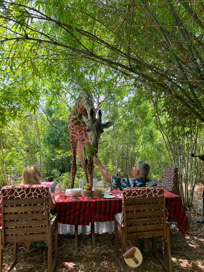 DIANI: SHARE A MEAL WITH GIRAFFES - Arriving from Diani Beach at 4 pm