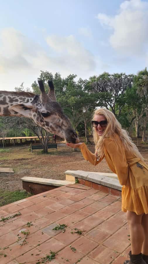 DIANI: SHARE A MEAL WITH GIRAFFES - Who will enjoy this most?