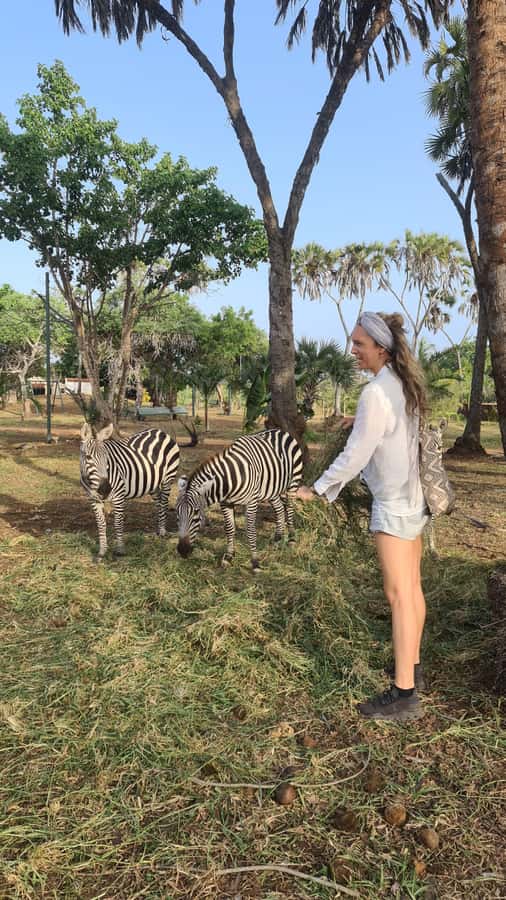 DIANI: SHARE A MEAL WITH GIRAFFES - Practical advice before you go