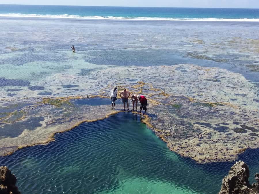 Diani: Snorkeling and Swimming at African Pool in Tiwi Beach - Who should book this Tiwi Beach outing?