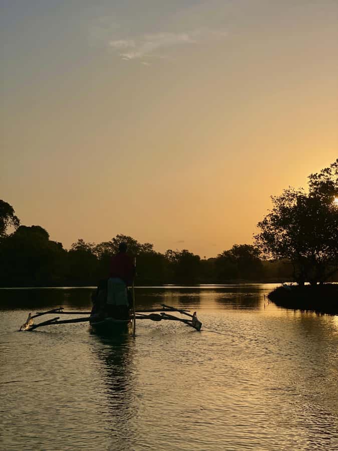 Diani: Sunset Canoe Tour along the River with Mangroves - Key points at a glance