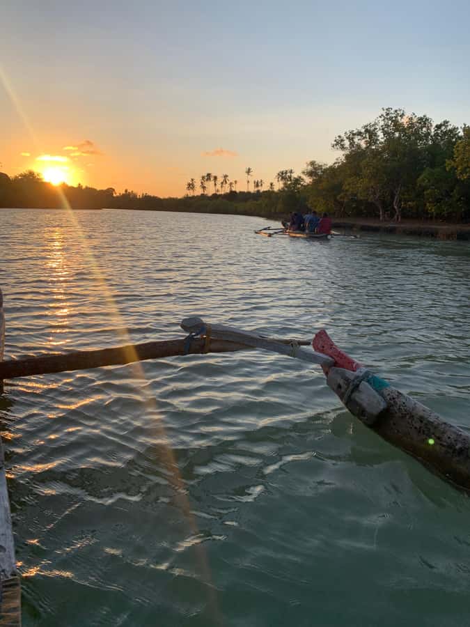 Diani: Sunset Canoe Tour along the River with Mangroves - Kongo River Beach and the mangrove creeks