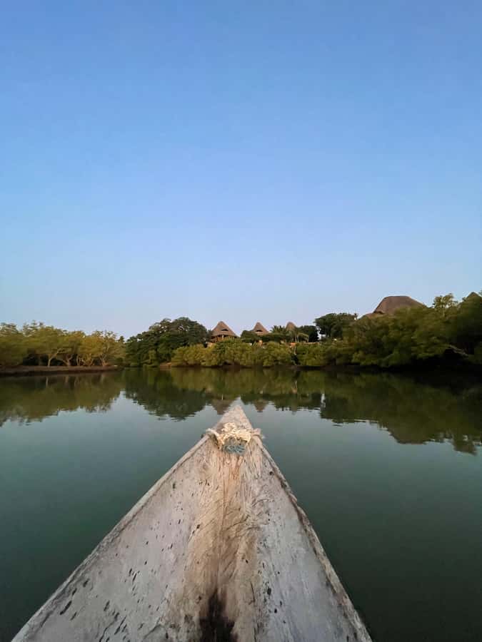 Diani: Sunset Canoe Tour along the River with Mangroves - How the two hours are likely to feel