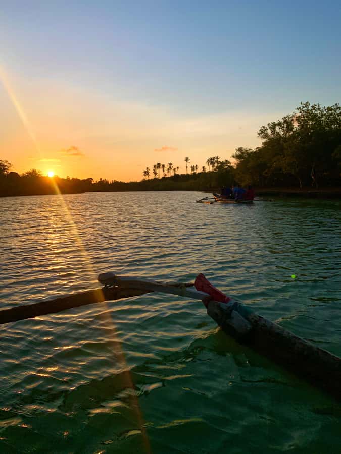 Diani: Sunset Canoe Tour along the River with Mangroves - Is $28 per person good value?