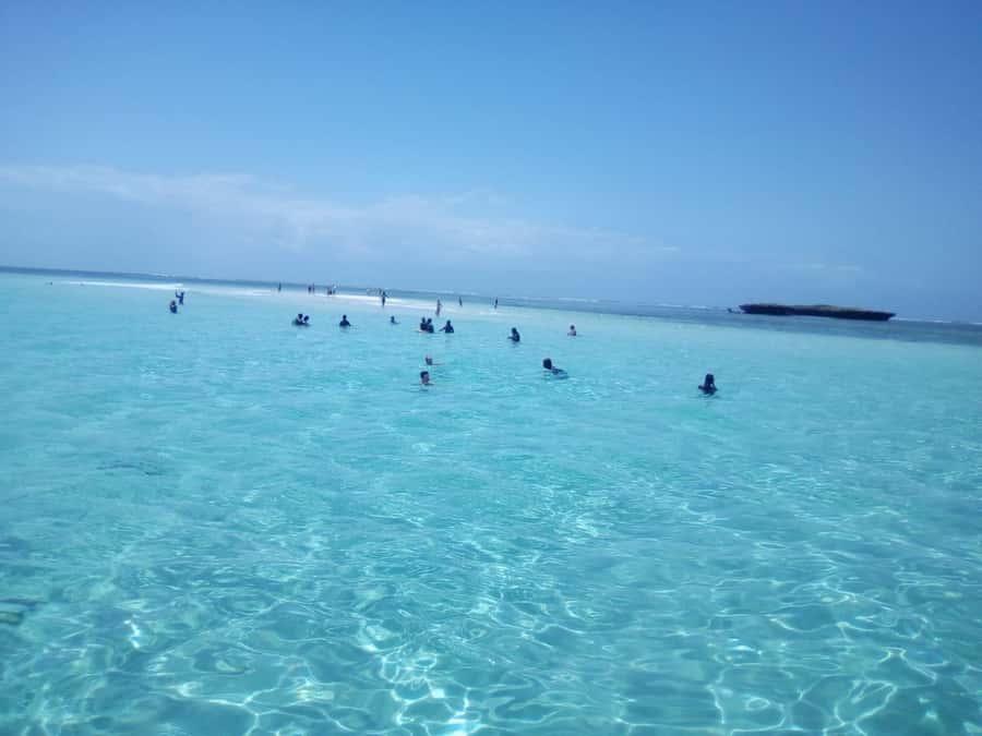 Diani: Wasini Island Dolphin Watching and Snorkeling Tour - Dolphin watching along the Indian Ocean coast