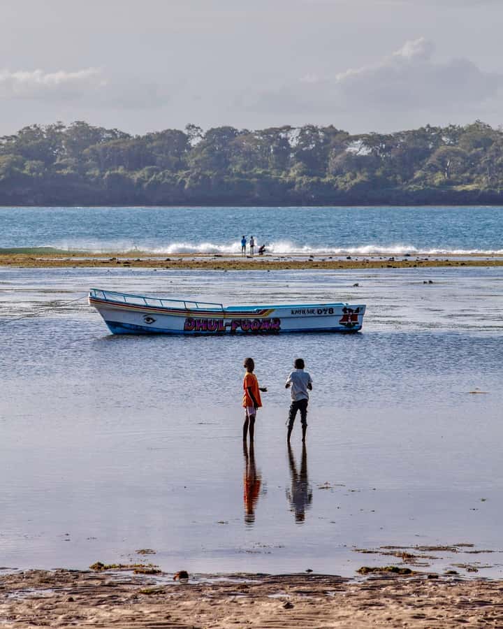 Diani: Wasini Island, Snorkeling & Dolphin watching. - What $125 includes, and where the value lies