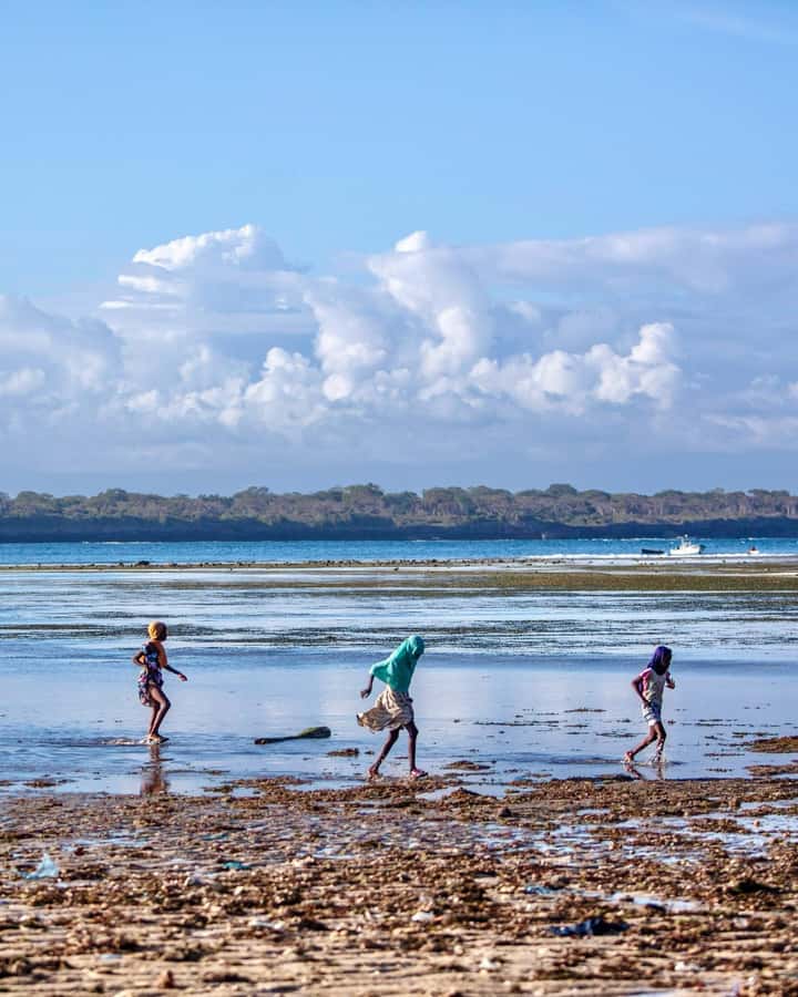 Diani: Wasini Island, Snorkeling & Dolphin watching. - What to pack for the nine-hour outing