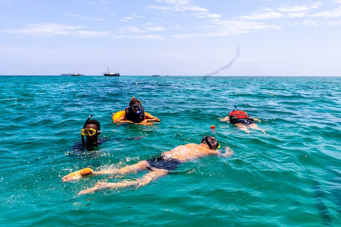 Dolphin Watch & Snorkeling at Kisite Marine Park & Wasini Island - From Mombasa to the southern coast