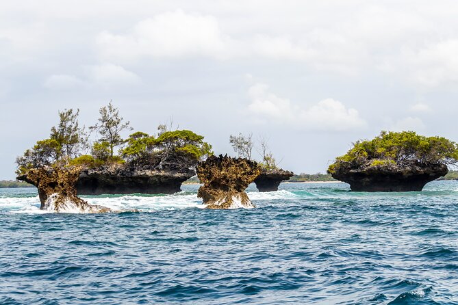 Dolphin Watch & Snorkeling at Kisite Marine Park & Wasini Island - Is $100 a fair price?