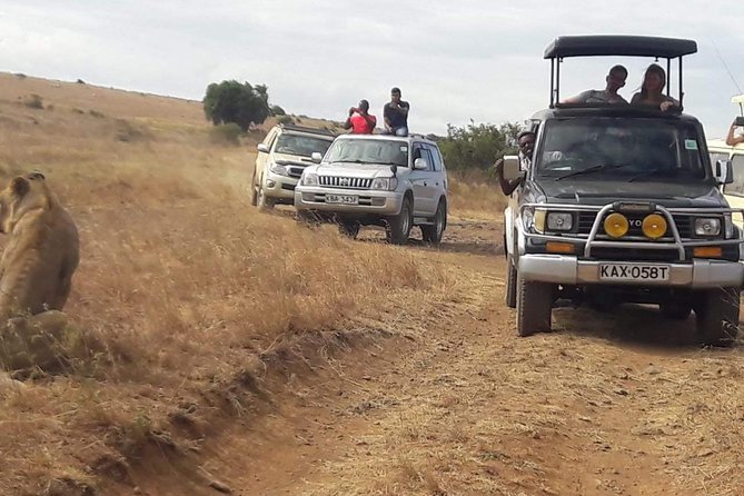 Early Morning Group Joining Mini Safari To Nairobi National Park - What the $71.43 price really buys you