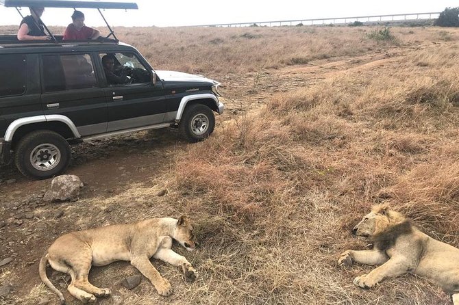 Early Morning Group Joining Mini Safari To Nairobi National Park - The main drawbacks to weigh