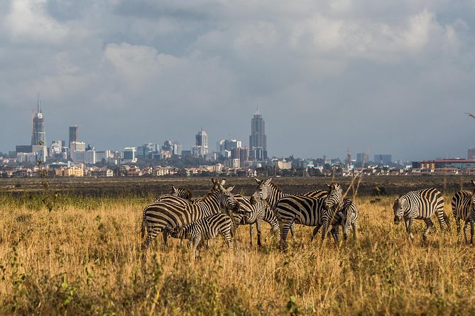 Early Nairobi Park Giraffe Centre and Optional Elephant Orphanage - Why this Nairobi combination works